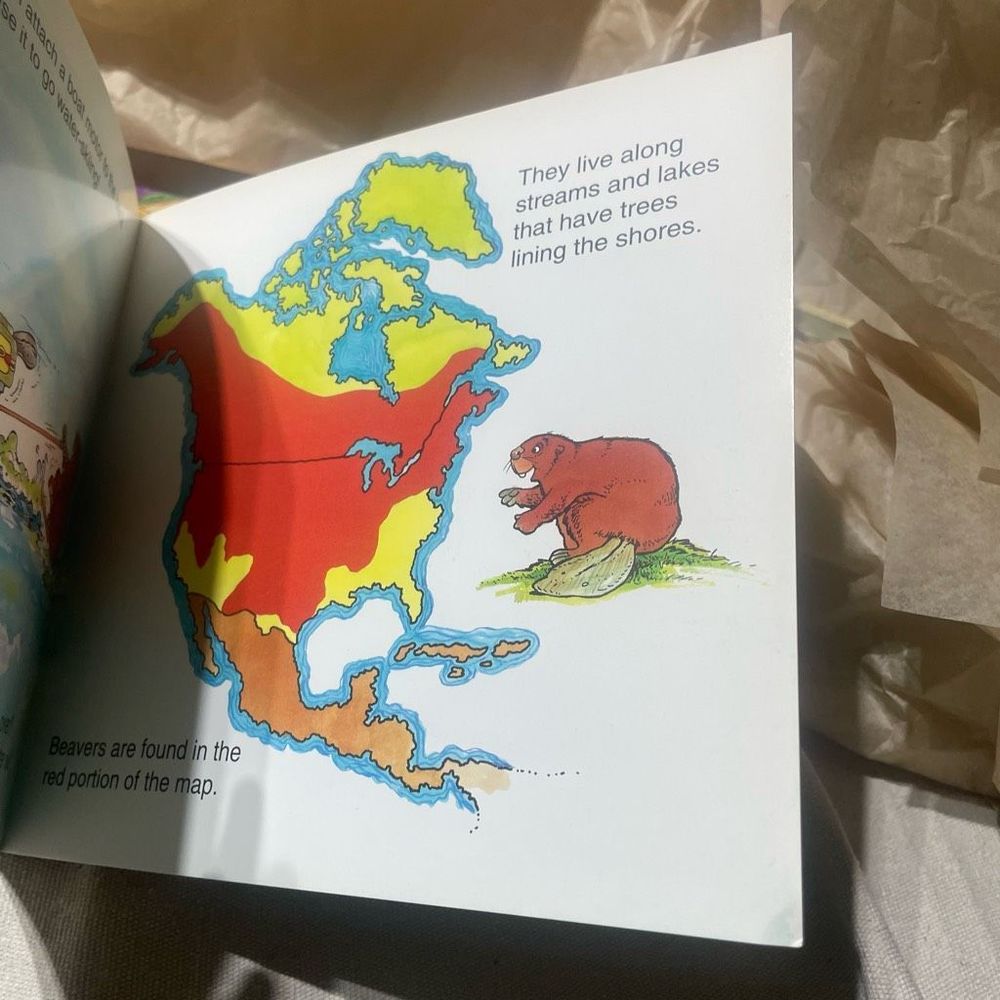 New Vintage World of Animals Buddy the Beaver Paperback written by John Storms - Picture 7 of 8